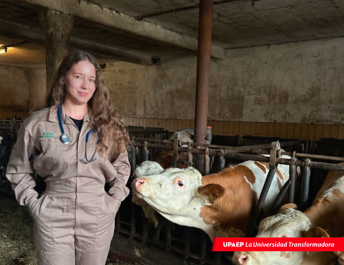 Descubriendo nuevas fronteras