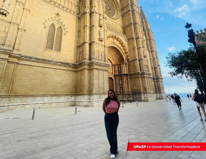Prácticas Profesionales Internacionales en Mallorca: Una Experiencia Transformadora
